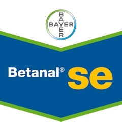 BETANAL SE