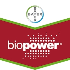 BIOPOWER