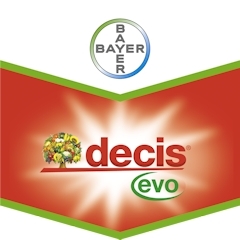 DECIS EVO