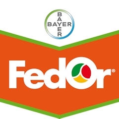 FEDOR