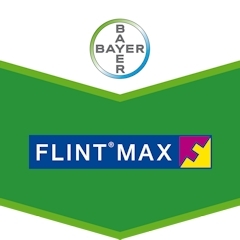 FLINT MAX