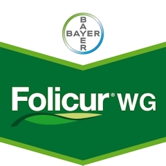 FOLICUR WG