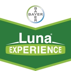 LUNA EXPERIENCE