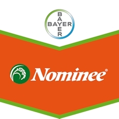 NOMINEE