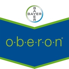 OBERON