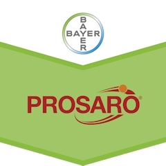 PROSARO