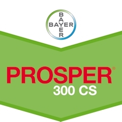 PROSPER 300 CS
