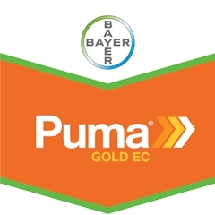 PUMA GOLD EC