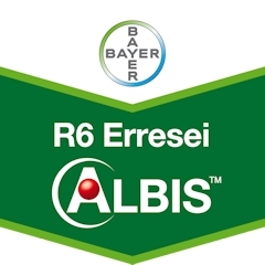 R6 ERRESEI ALBIS