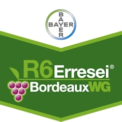 R6 ERRESEI BORDEAUX WG