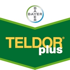 TELDOR PLUS