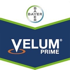 VELUM PRIME