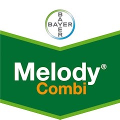 MELODY COMBI