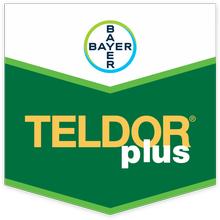 TELDOR PLUS