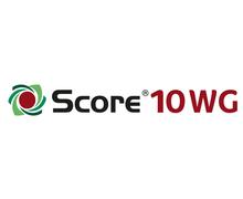SCORE 10 WG