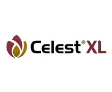 CELEST XL