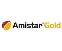 AMISTAR GOLD