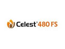 CELEST 480 FS