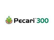 PECARI 300