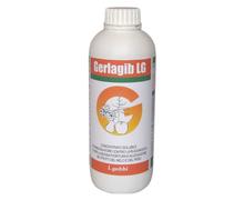 GERLAGIB LG