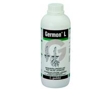 GERMON L