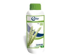 CELIO