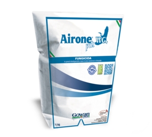 AIRONE PIU'