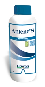 ANTENE S