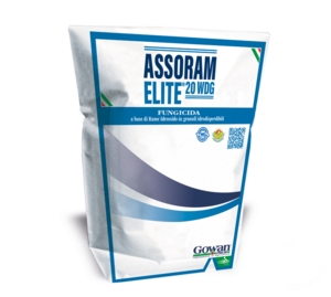 ASSORAM ELITE 20 WDG