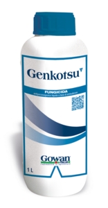 GENKOTSU