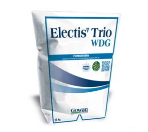 ELECTIS TRIO WDG