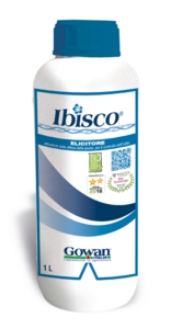 IBISCO