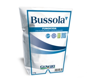 BUSSOLA WG BLU