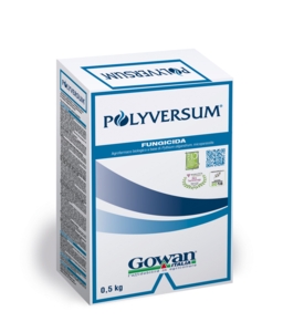 POLYVERSUM