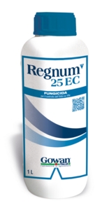 REGNUM 25 EC