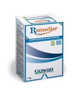 REMEDIER