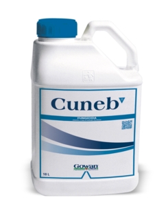 CUNEB