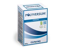 POLYVERSUM