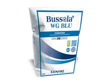 BUSSOLA WG BLU