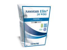 ASSORAM ELITE 20 WDG