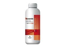 KANEMITE