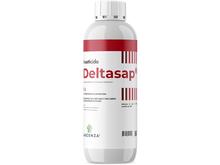 DELTASAP