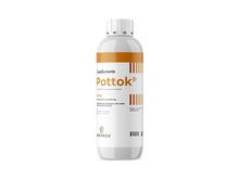 POTTOK