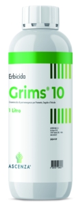 GRIMS 10